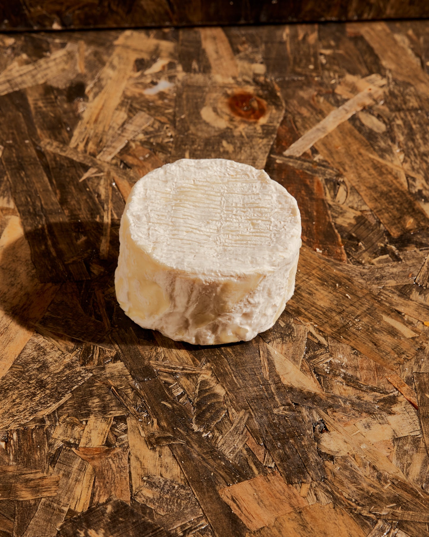 Long Paddock Silver Wattle 180g